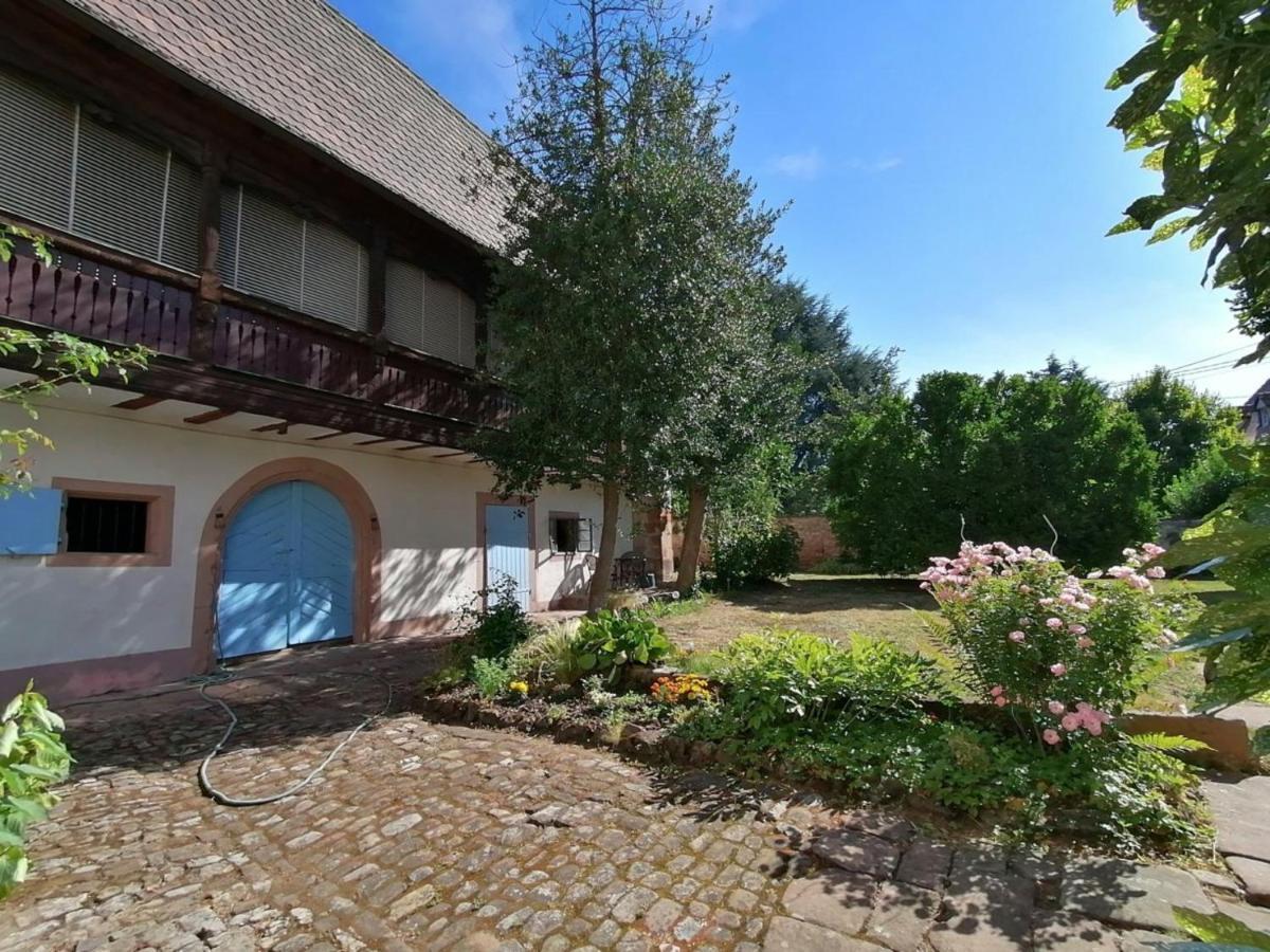 Maison Kobold Xvie Siecle Wissembourg Extérieur photo