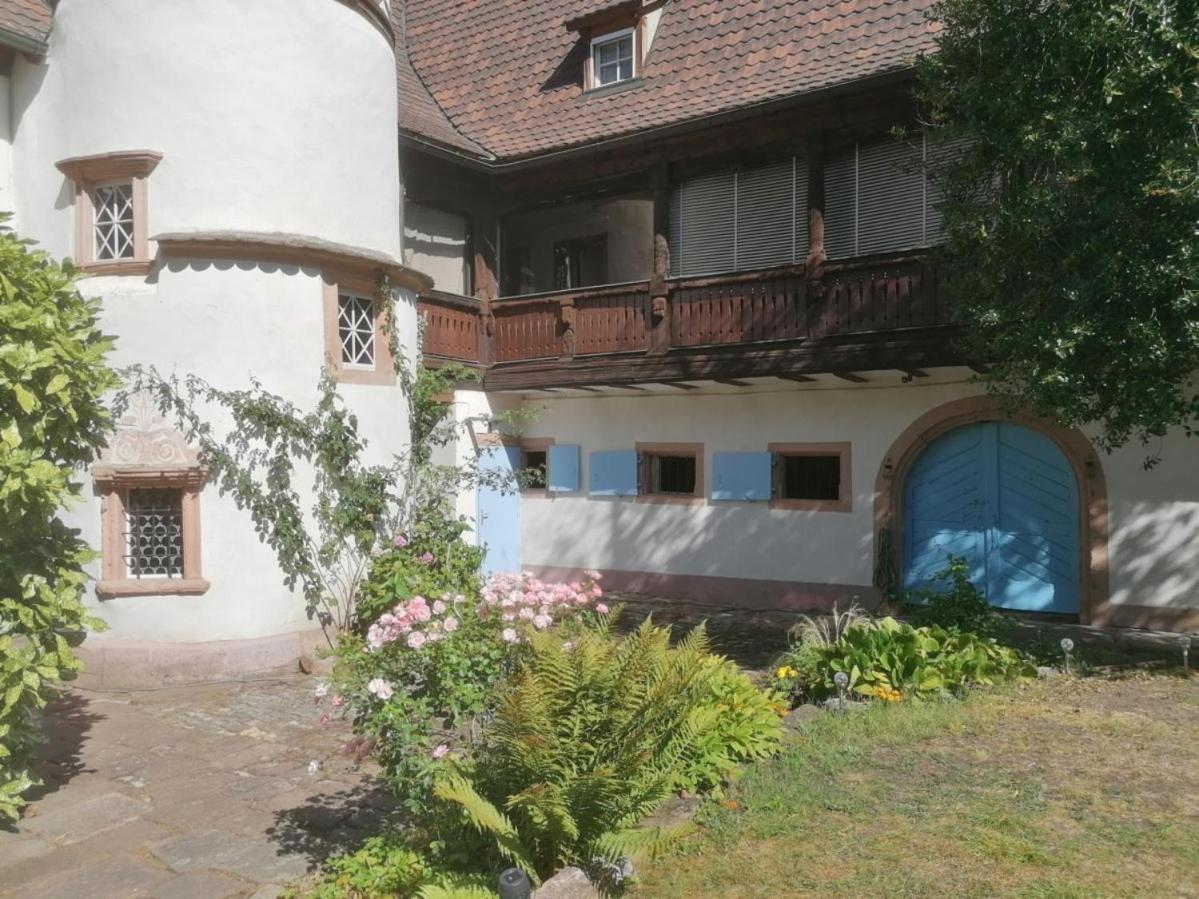 Maison Kobold Xvie Siecle Wissembourg Extérieur photo