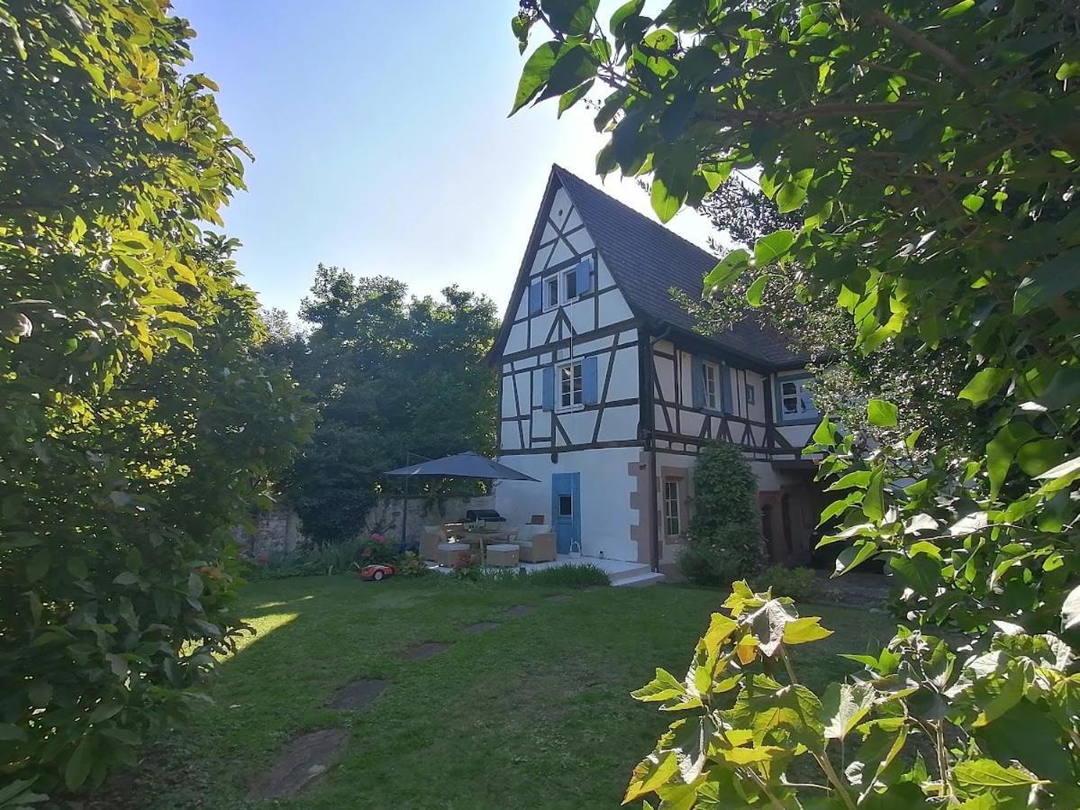 Maison Kobold Xvie Siecle Wissembourg Extérieur photo