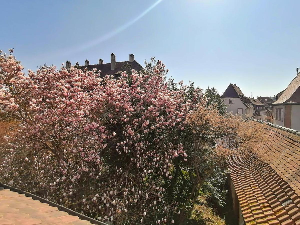 Maison Kobold Xvie Siecle Wissembourg Extérieur photo