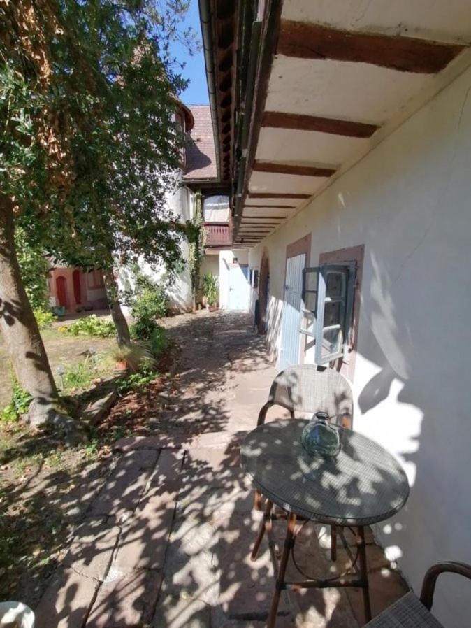 Maison Kobold Xvie Siecle Wissembourg Extérieur photo