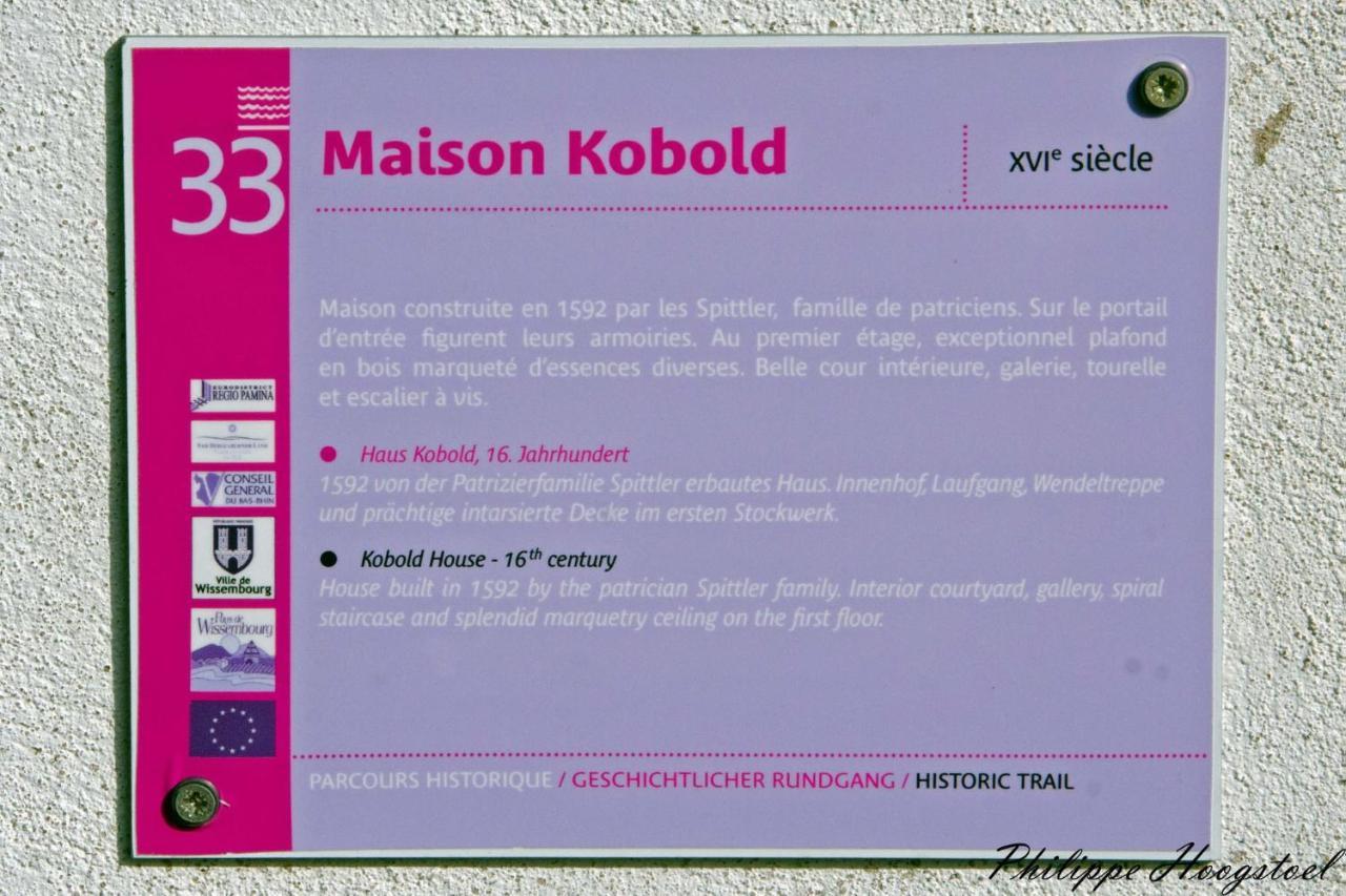 Maison Kobold Xvie Siecle Wissembourg Extérieur photo