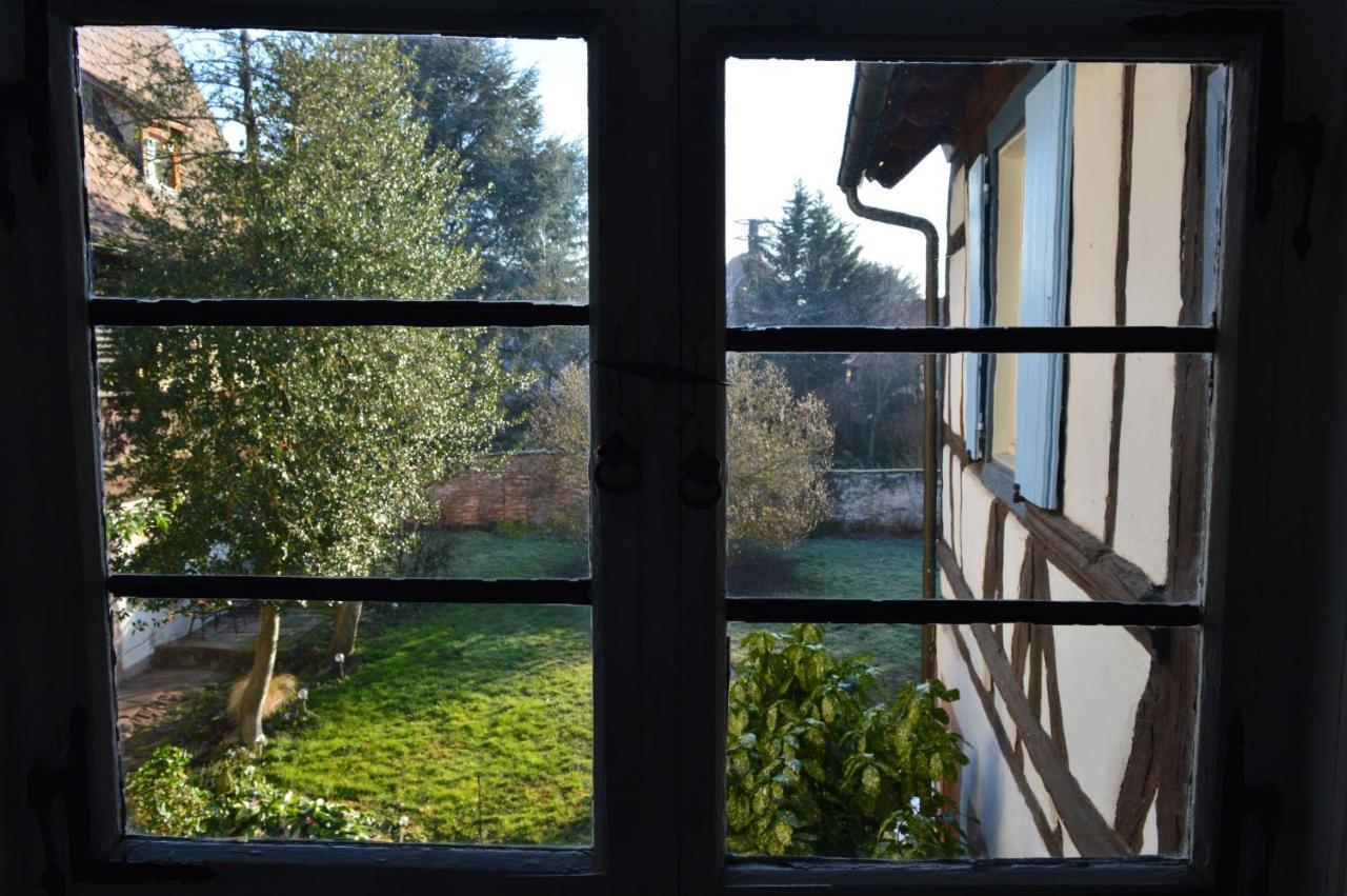Maison Kobold Xvie Siecle Wissembourg Extérieur photo