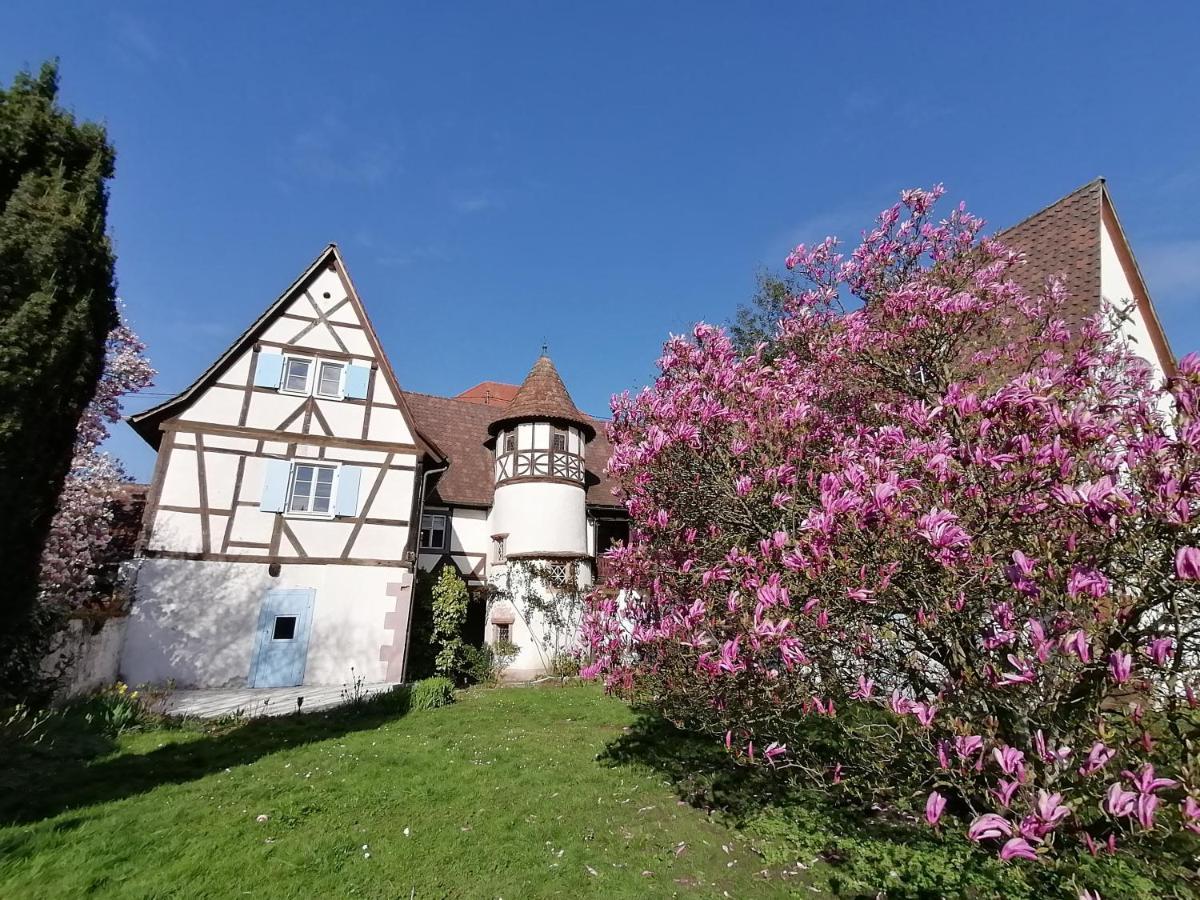 Maison Kobold Xvie Siecle Wissembourg Extérieur photo